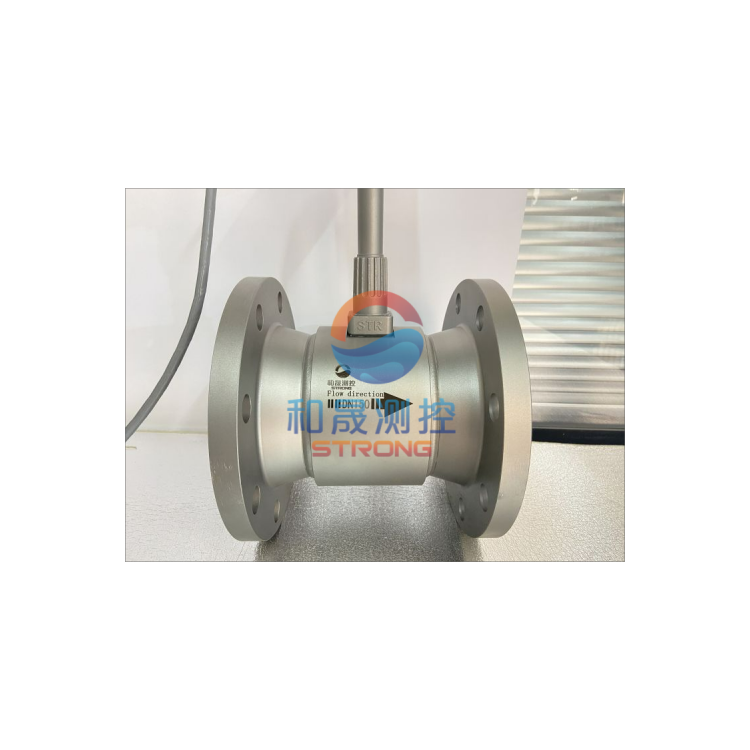 TSGD7006蒸汽计量表 DN50 供暖涡街计量表-智远图2