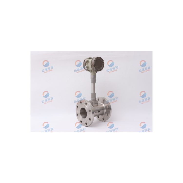 TSGD7006蒸汽计量表 DN50 供暖涡街计量表-智远图3