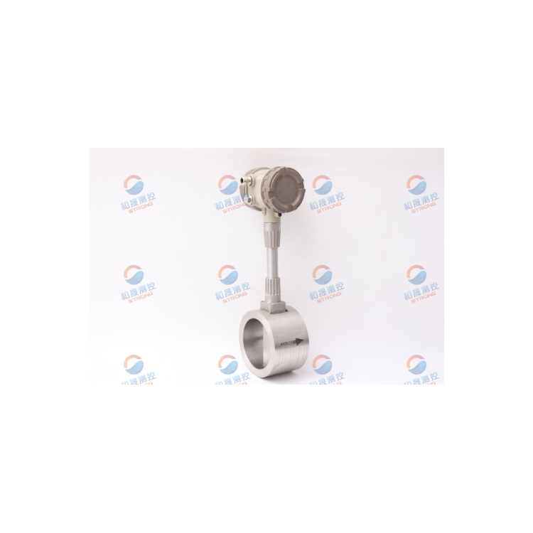 TSGD7006蒸汽计量表 DN50 供暖涡街计量表-智远图4