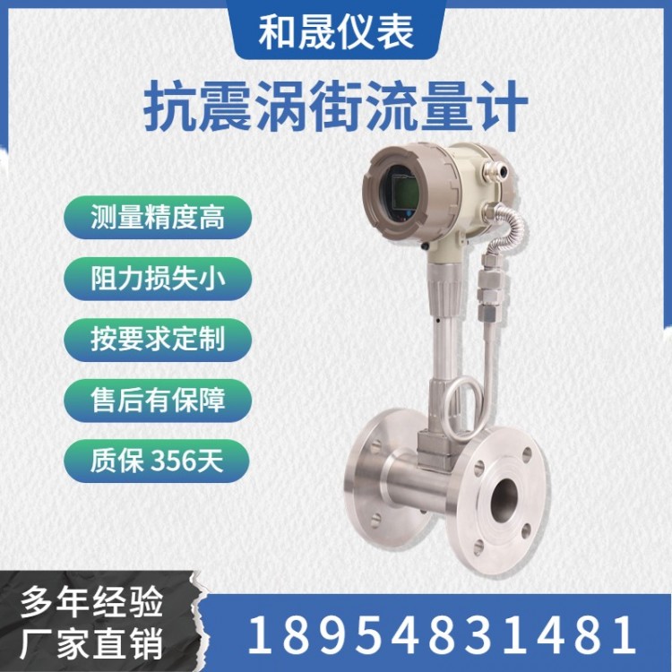 数字式抗振动流量计 DN400 数字式一体化涡街-和晟测控图2