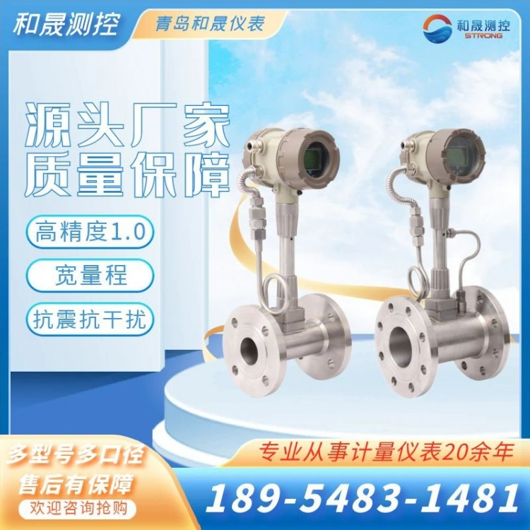 抗震动干扰流量计 DN25 食品厂涡街