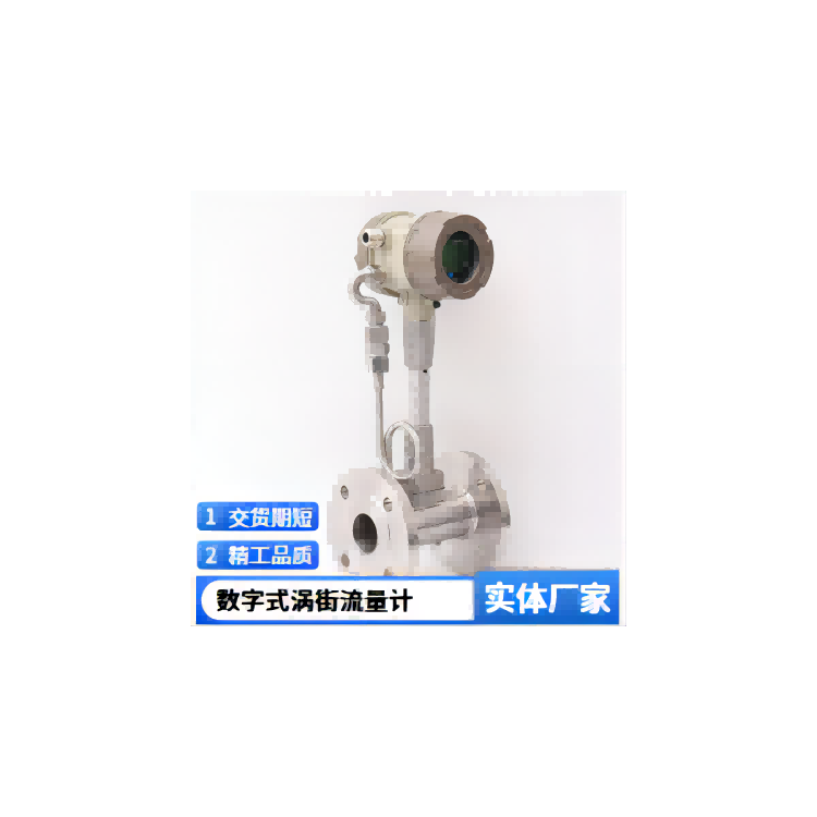 测量蒸汽流量计 温压补偿一体式 压