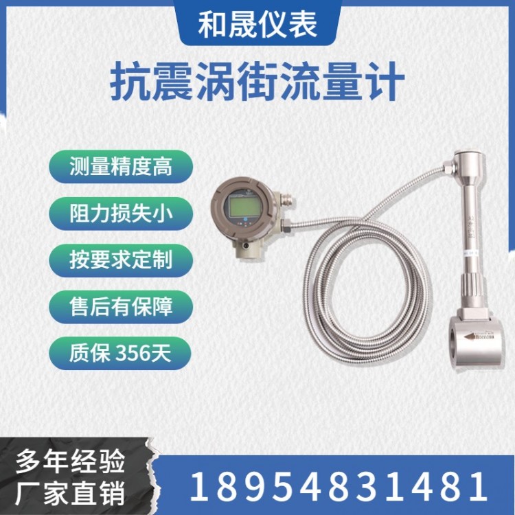 蒸汽涡街流量计 管道式夹持式插入式/防震动-智远仪表图2