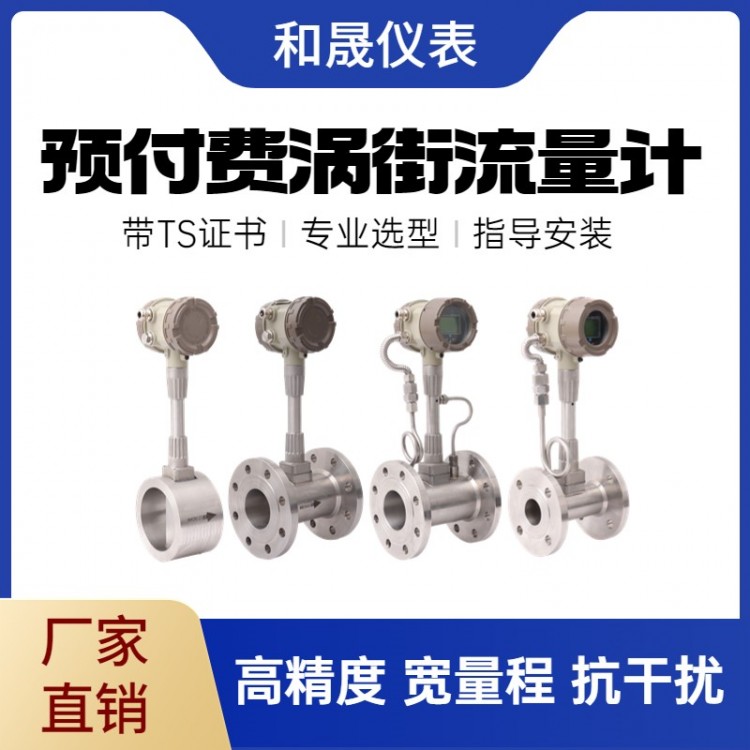 蒸汽涡街流量计 管道式夹持式插入式/防震动-智远仪表图5