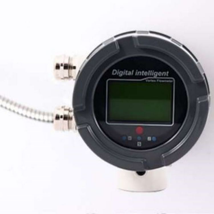 特种设备涡街流量计 管道式 蒸汽抗震涡街流量计-青岛和晟图3