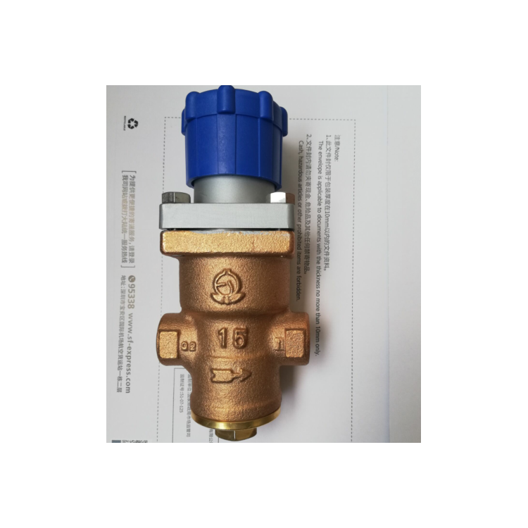 日本VENN阀天蒸汽减压阀 RP-6正宗减压阀图2