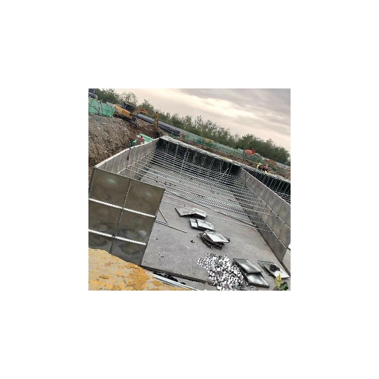 广西地埋式箱泵一体化消防给水设备 箱泵一体化报价图2