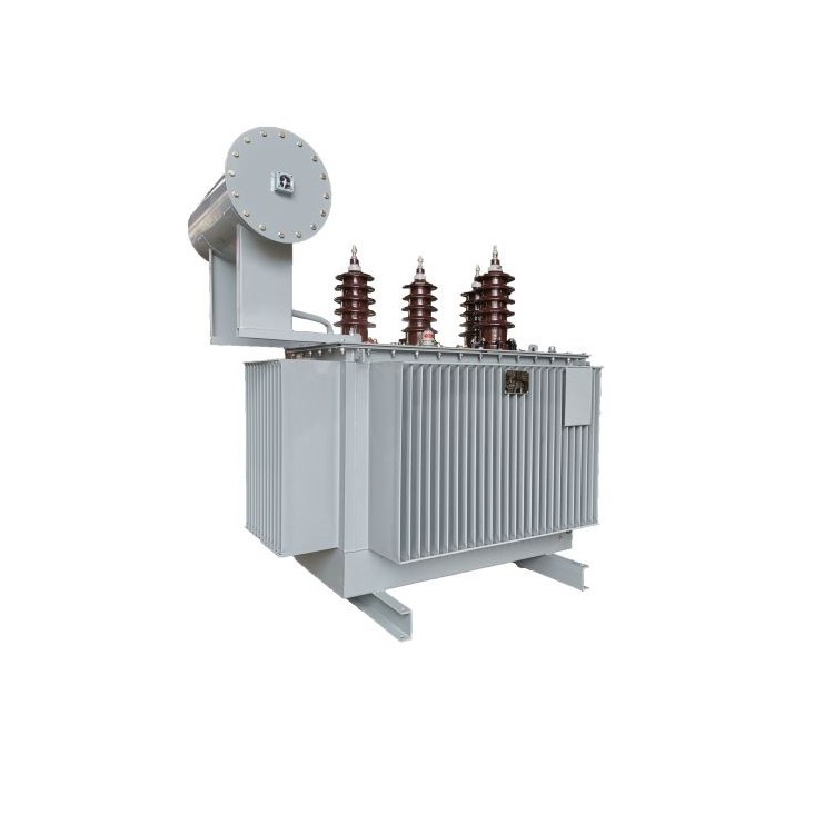 DKS-800/33  油浸式接地变压器  支