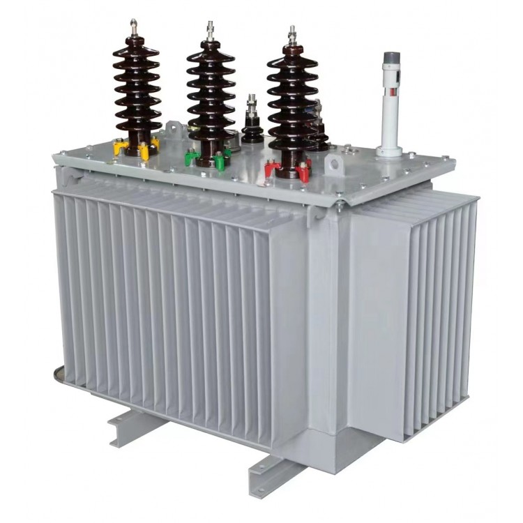 DKS-800/33  油浸式接地变压器  支持定制图3