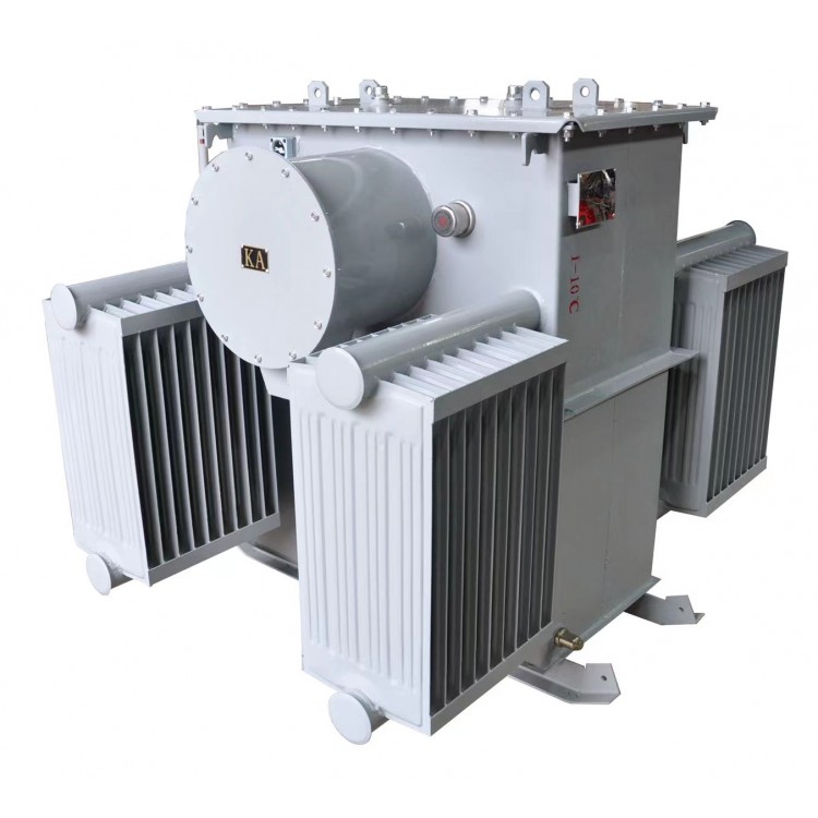 DKS-800/33  油浸式接地变压器  支持定制图5