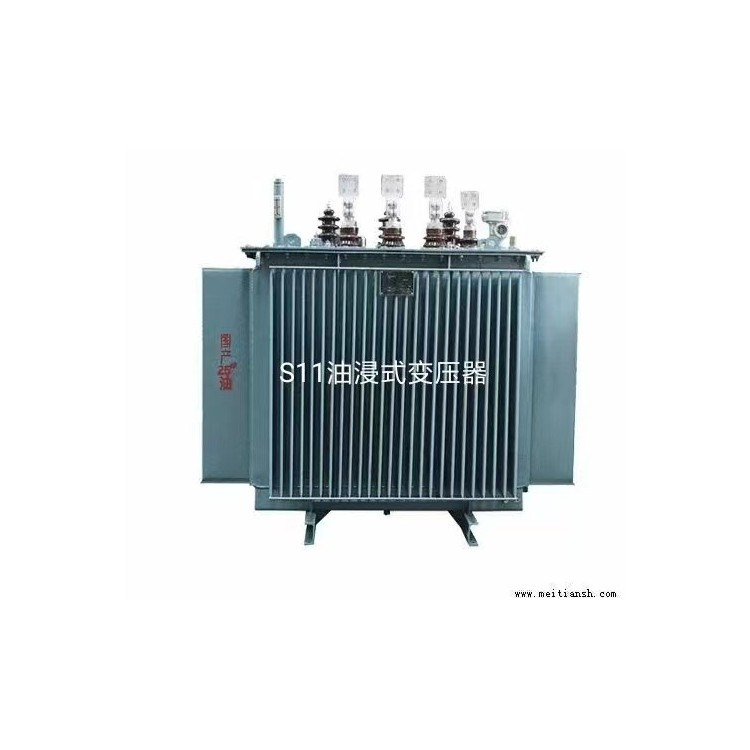 DKS-800/33  油浸式接地变压器  支持定制图6