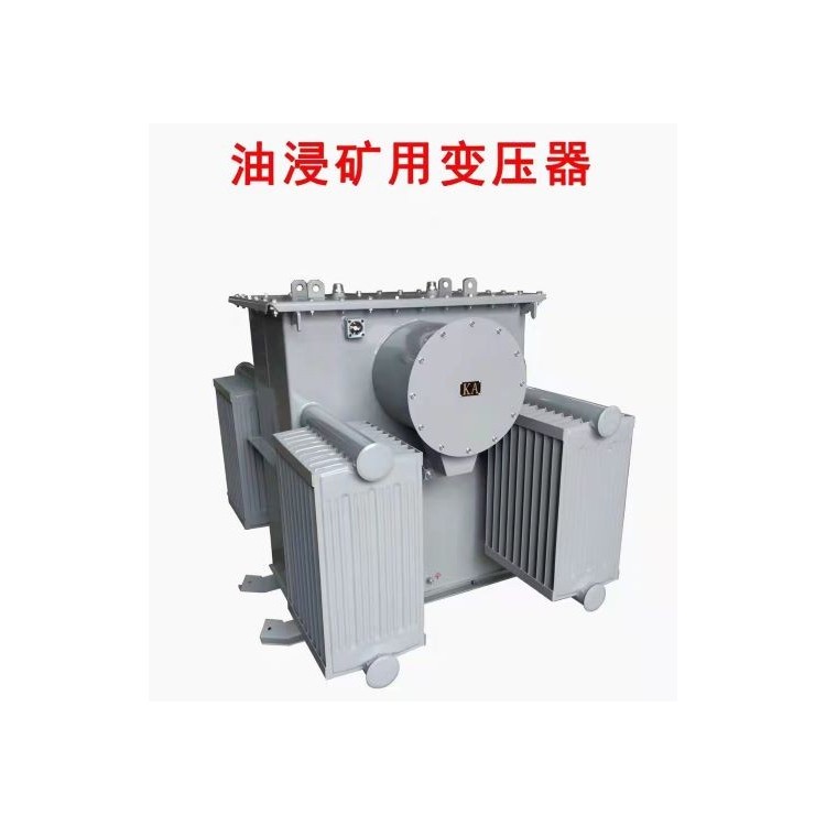 SJD-1000/35  油浸式接地变压器  支持定制图6