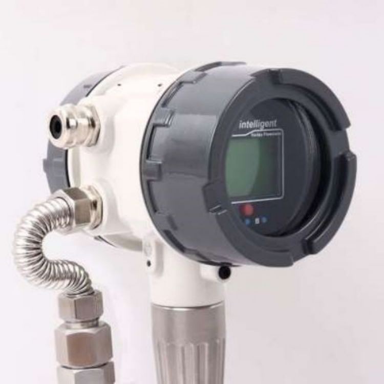 特种设备监检流量计 DN400 抗震型夹持式涡街-智远仪表图2