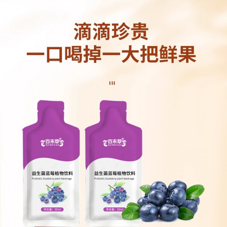 百未草益生菌蓝莓植物饮料 厂家加工