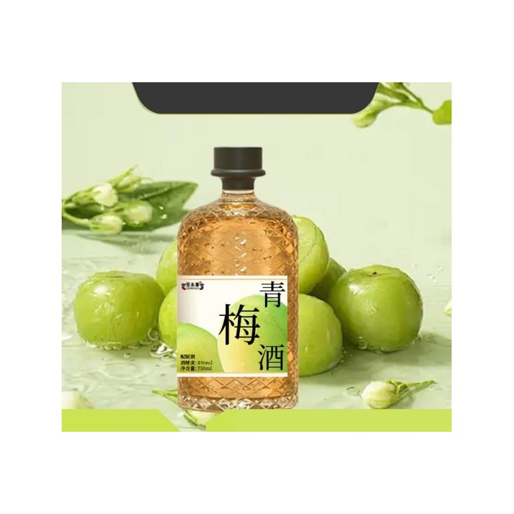 青梅酒配制酒低度女士甜果酒生产厂