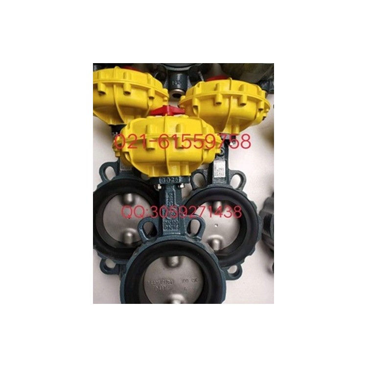 德国依博罗EBRO气动扇形蝶阀规格齐全速发货图1